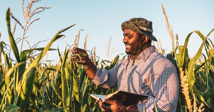 Crédito Agropecuario