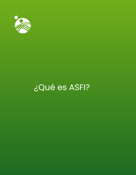 ¿Qué es ASFI?