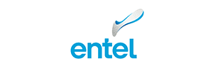 Entel logo