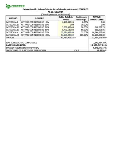 C.A.P. 2024-12-31v