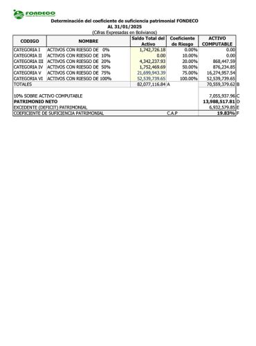 C.A.P. 2025-01-31v