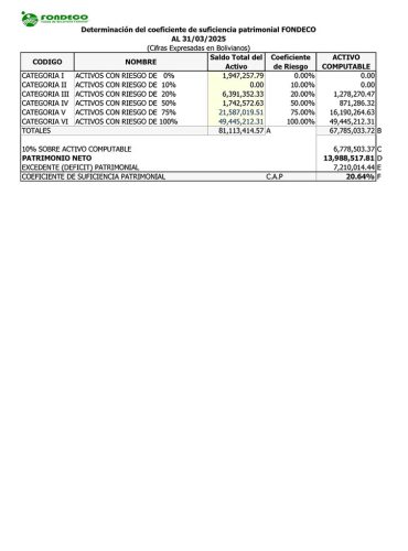 C.A.P. 2025-03-31v